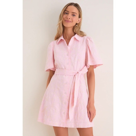 Tuckernuck Dresses & Skirts - NWT Tuckernuck Hyacinth House Pink Embroidered Gingko Leaf Peppa Mini Dress L